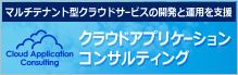 マルチテナント型クラウドサービスの開発と運用をご支援いたします！クラウドアプリケーションコンサルティング