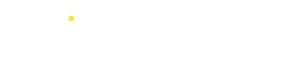 DiS_Logo